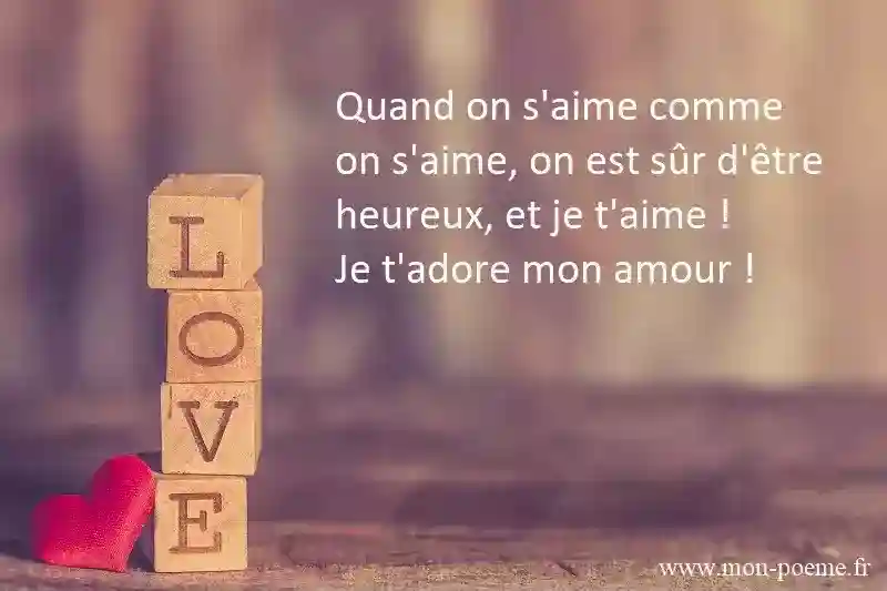 Quand on s'aime comme on s'aime, on est sûr d'être heureux, et je t'aime, je t'adore mon amour !