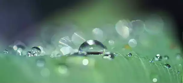 Petite pluie de juillet ensoleillé, emplit caves et greniers.