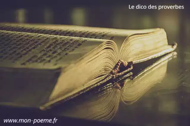 Le proverbe africain favori