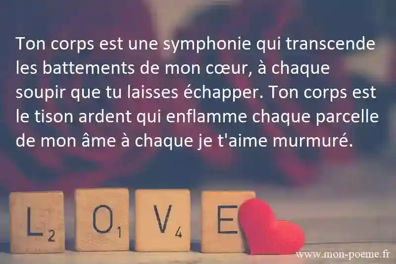 Exemples de phrases d'amour romantique