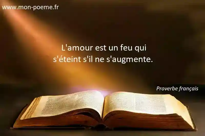 Les proverbes français sur l'amour